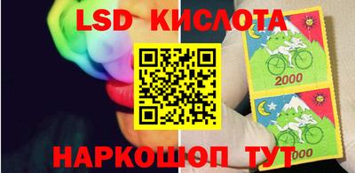 индика Кулебаки