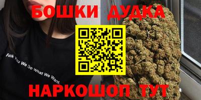 индика Кулебаки