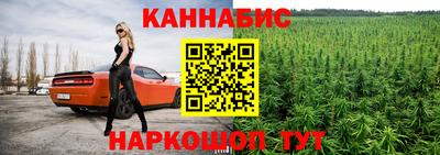 индика Кулебаки