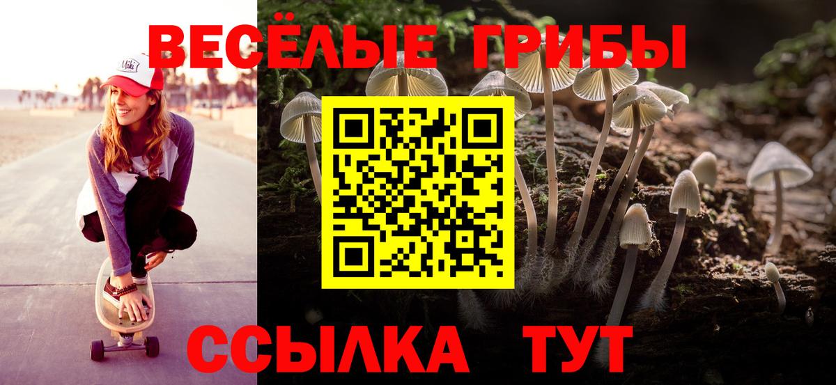 Псилоцибиновые грибы прущие грибы Еманжелинск